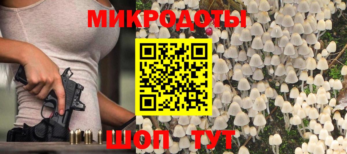 Галлюциногенные грибы Psilocybine cubensis Михайловск