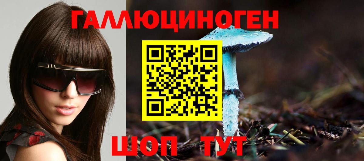 Михайловск  Псилоцибиновые грибы мицелий  где купить наркоту  Вход с VPN 