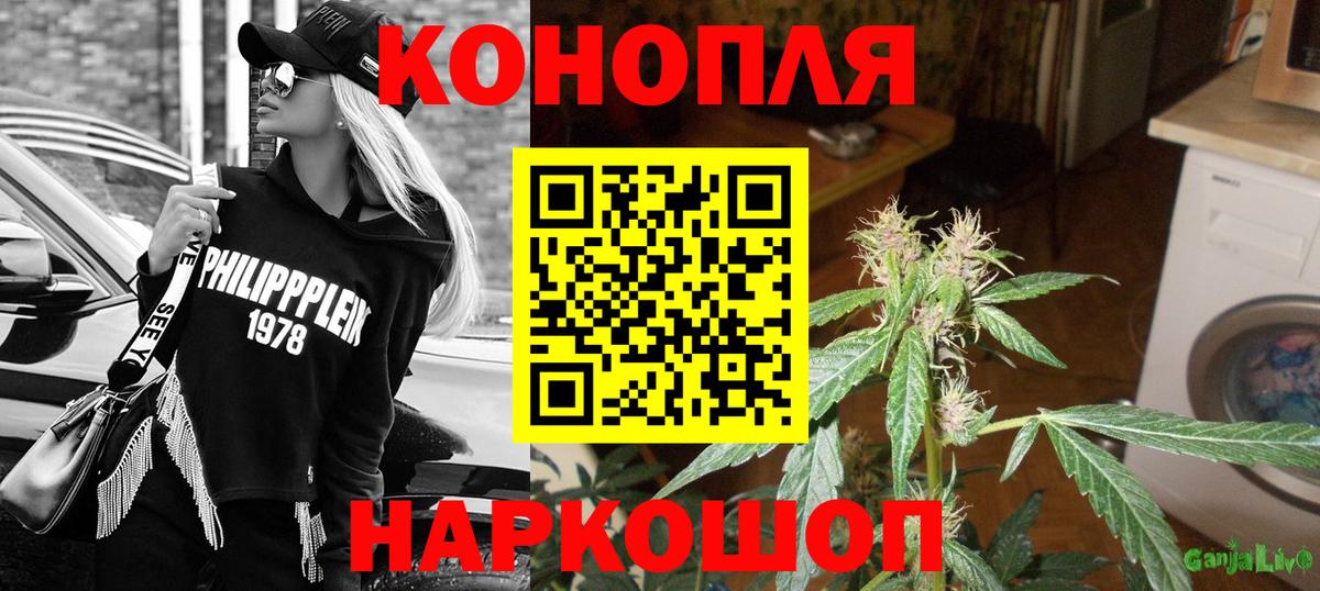 Михайловск  Бошки марихуана THC 21%  Марихуана планчик  Бошки марихуана планчик  Вход с VPN 